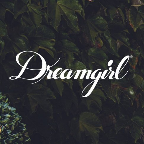 Dreamgirl Lingerie Sample Sale